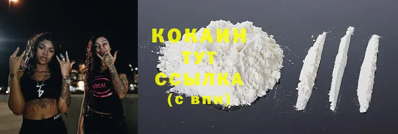 Кокаин FishScale  где купить наркотик  Алатырь 